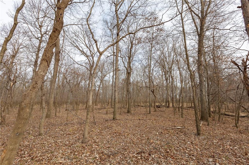 0 520th Road Knob Noster, MO 65336 - Photo 54 of 98