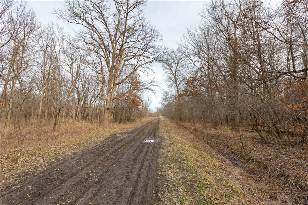 0 520th Road Knob Noster, MO 65336 - Photo 59 of 98