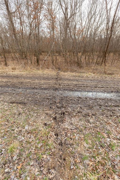 0 520th Road Knob Noster, MO 65336 - Photo 64 of 98