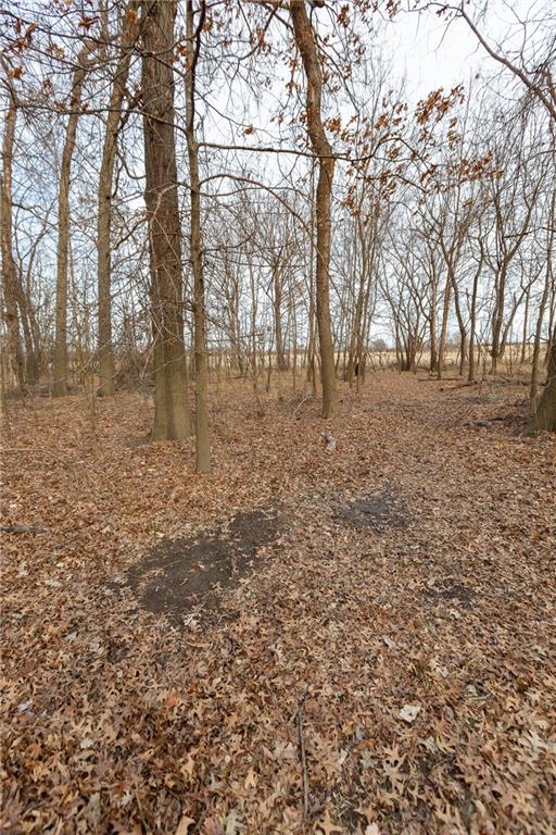 0 520th Road Knob Noster, MO 65336 - Photo 67 of 98