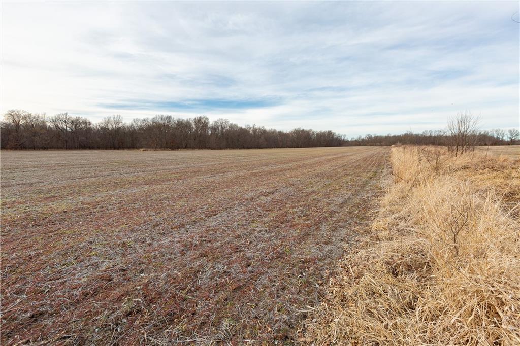 0 520th Road Knob Noster, MO 65336 - Photo 72 of 98