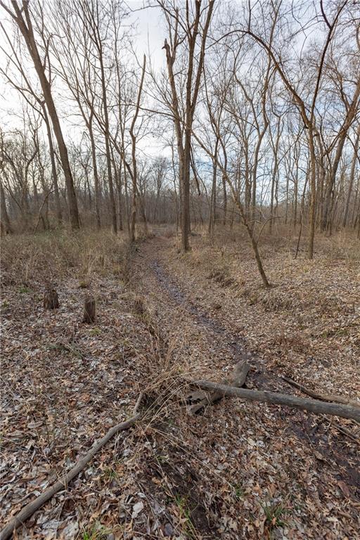 0 520th Road Knob Noster, MO 65336 - Photo 78 of 98