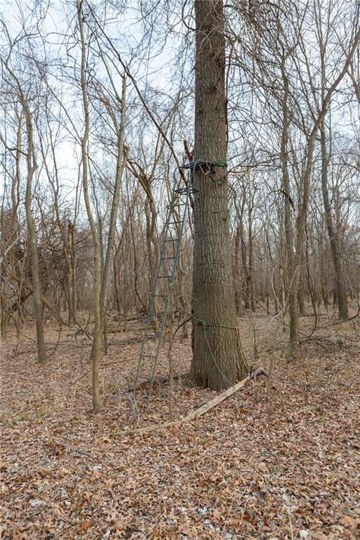 0 520th Road Knob Noster, MO 65336 - Photo 97 of 98