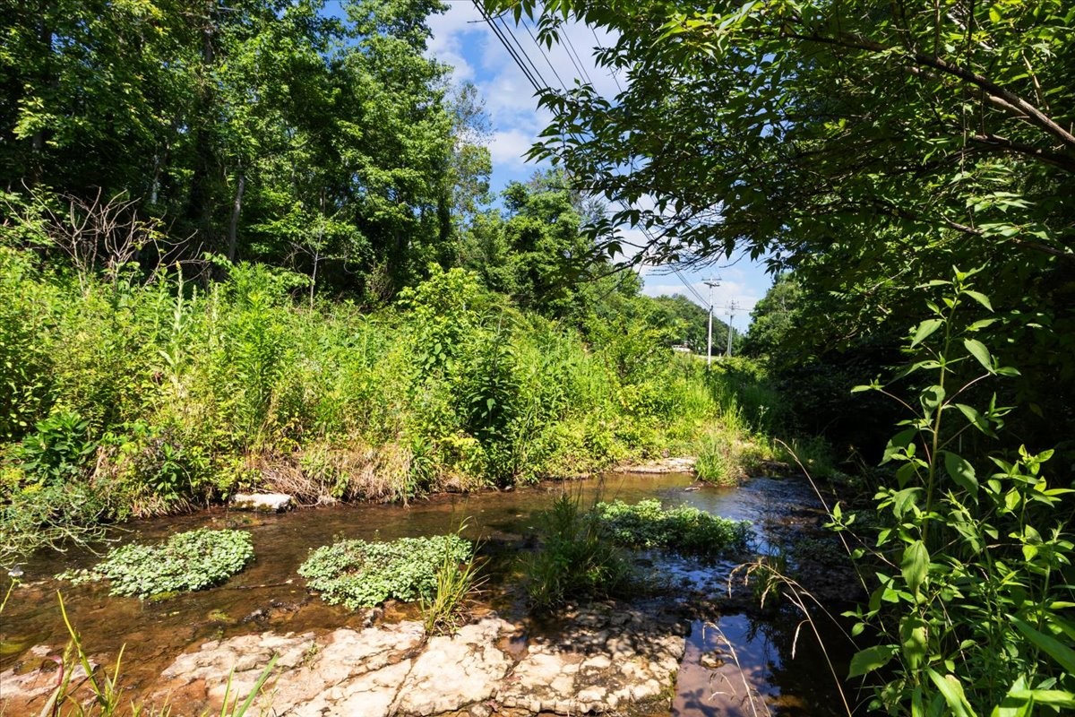 7173 New Hope Road Fairview, TN 37062 - Photo 28 of 31 a plant view in yard