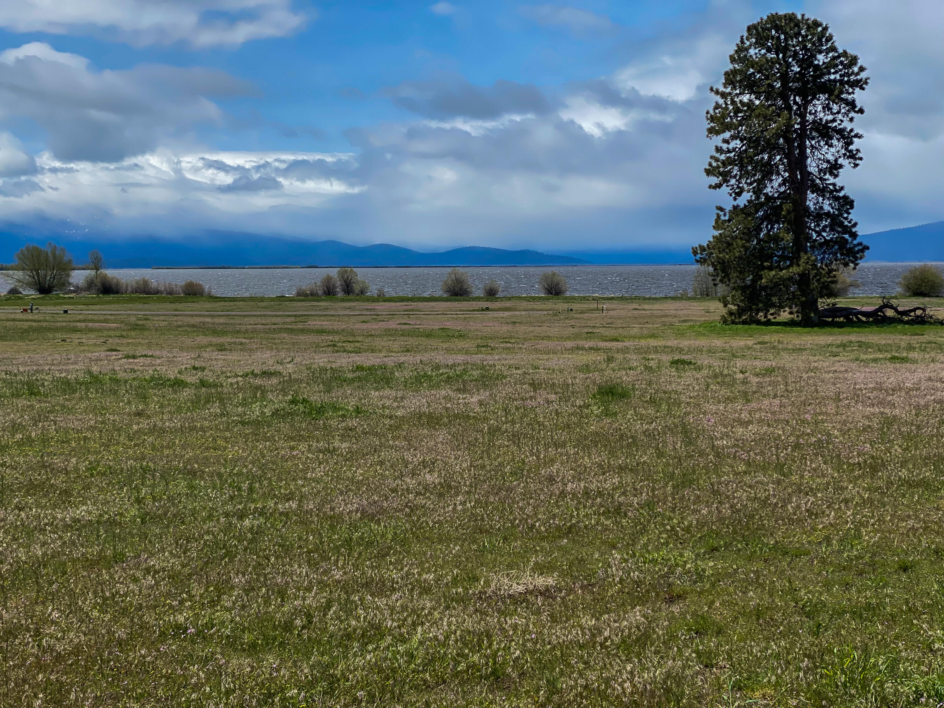 Clearview Drive Chiloquin, OR 97624 - Photo 6 of 14 IMG_2367
