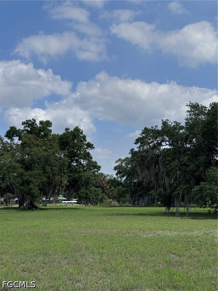 4500 Fort Denaud Road Fort Denaud, FL 33935 - Photo 6 of 8 a view of a field with trees in the background