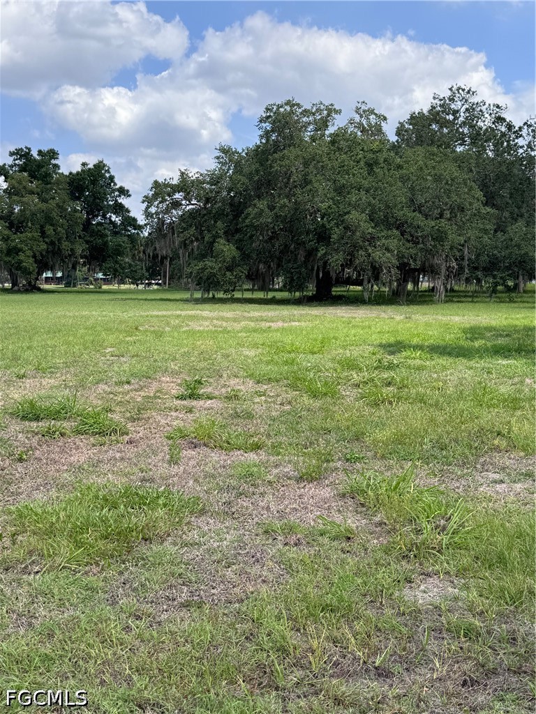 4500 Fort Denaud Road Fort Denaud, FL 33935 - Photo 7 of 8 a view of outdoor space with green field and trees around