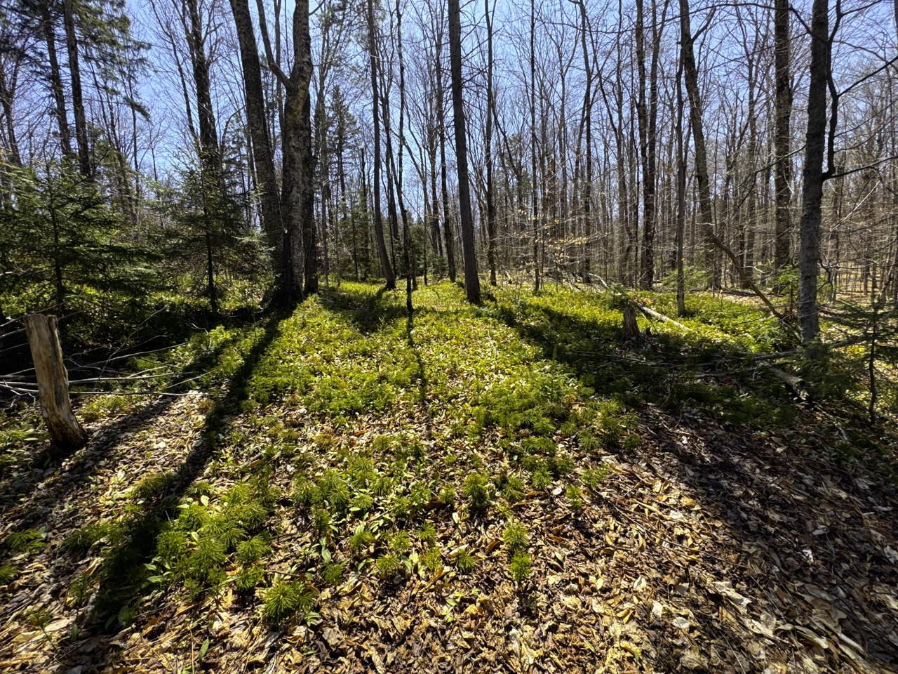 0 Butz Road Granville, VT 05747 - Photo 41 of 59 Gallery Image 41