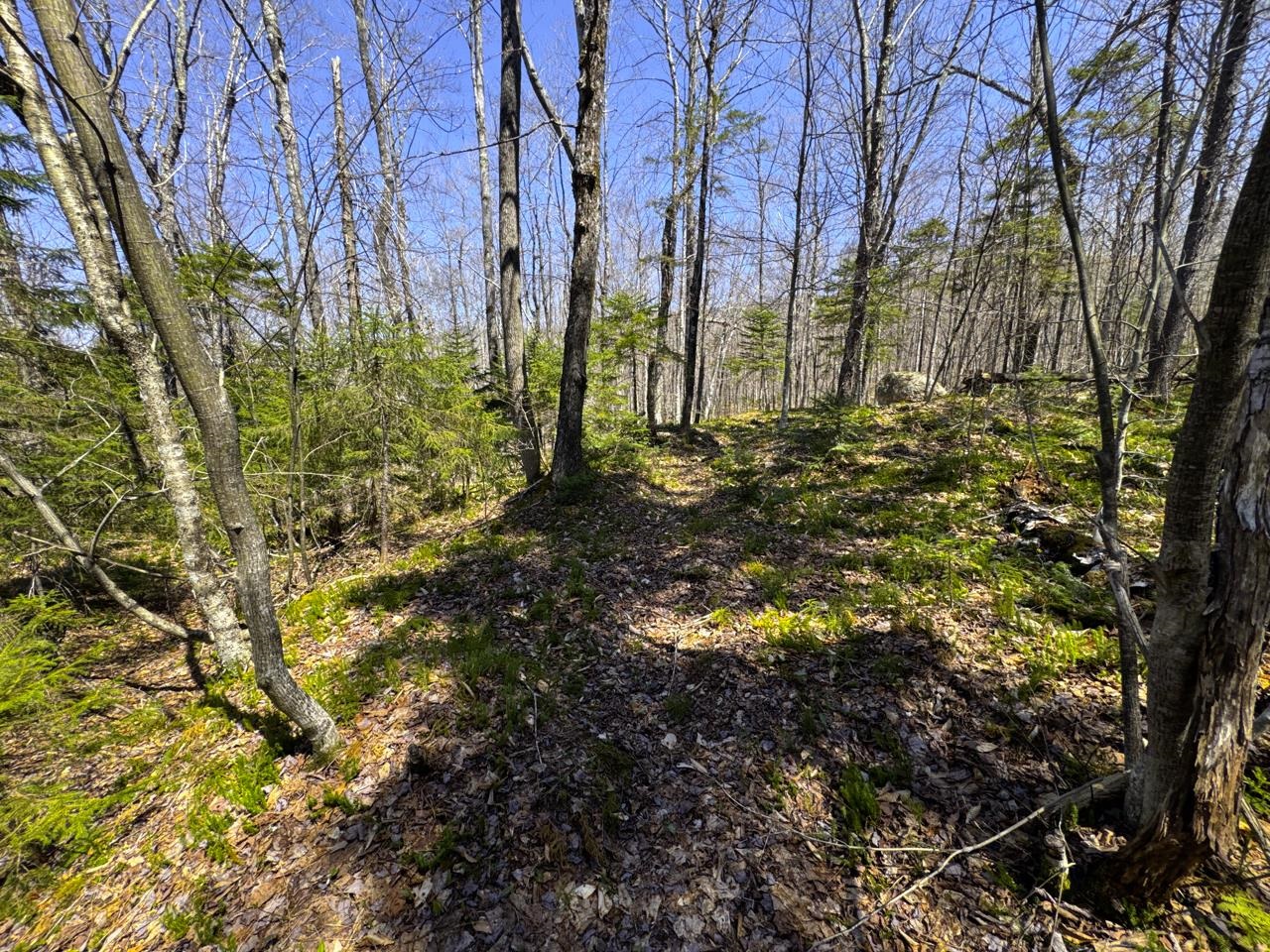 0 Butz Road Granville, VT 05747 - Photo 45 of 59 Gallery Image 45
