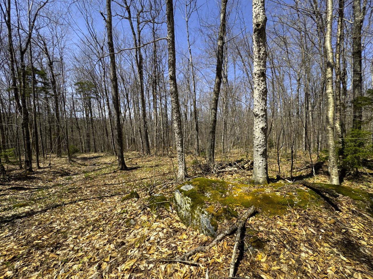 0 Butz Road Granville, VT 05747 - Photo 51 of 59 Gallery Image 51