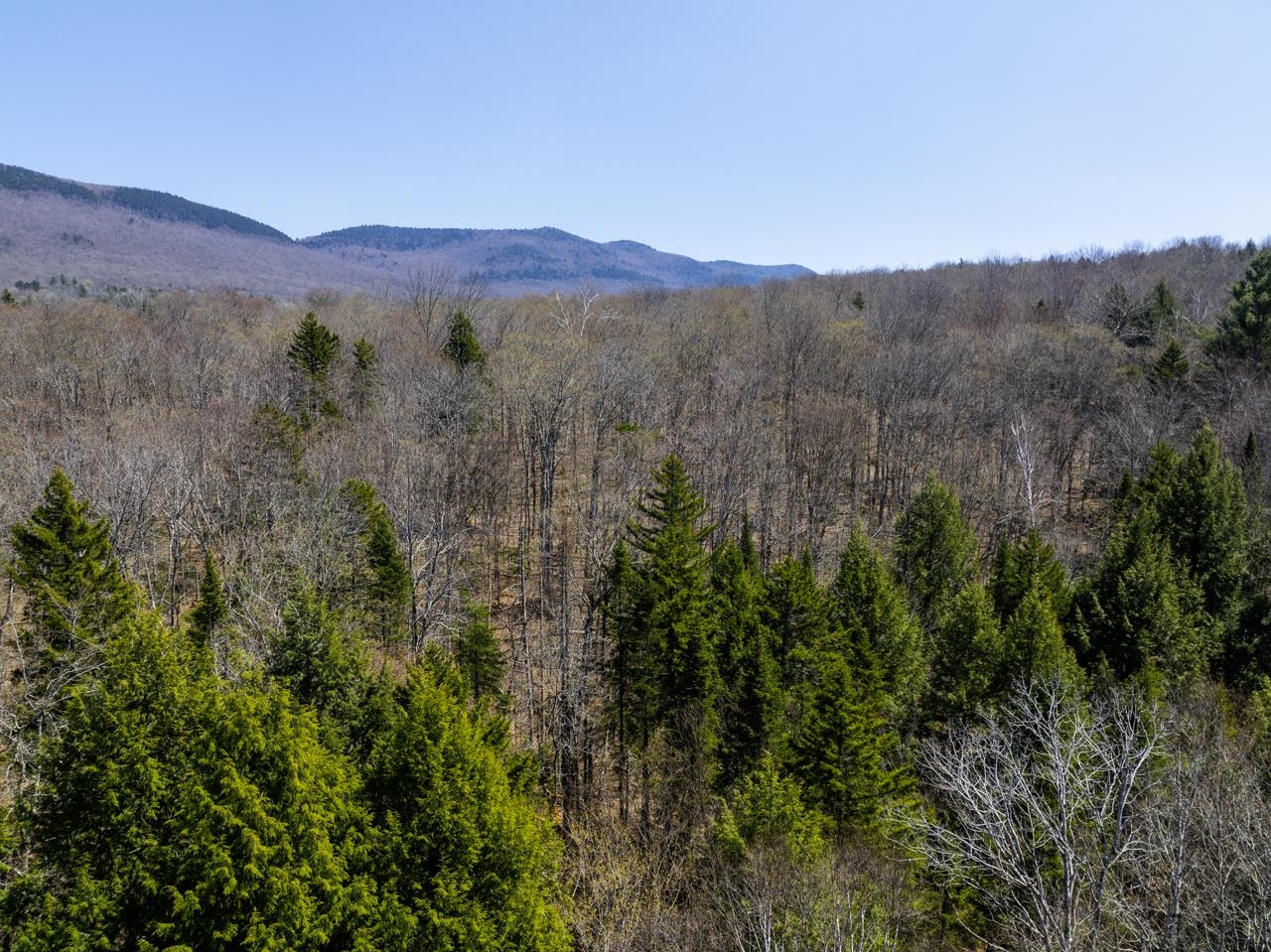 0 Butz Road Granville, VT 05747 - Photo 53 of 59 Gallery Image 53