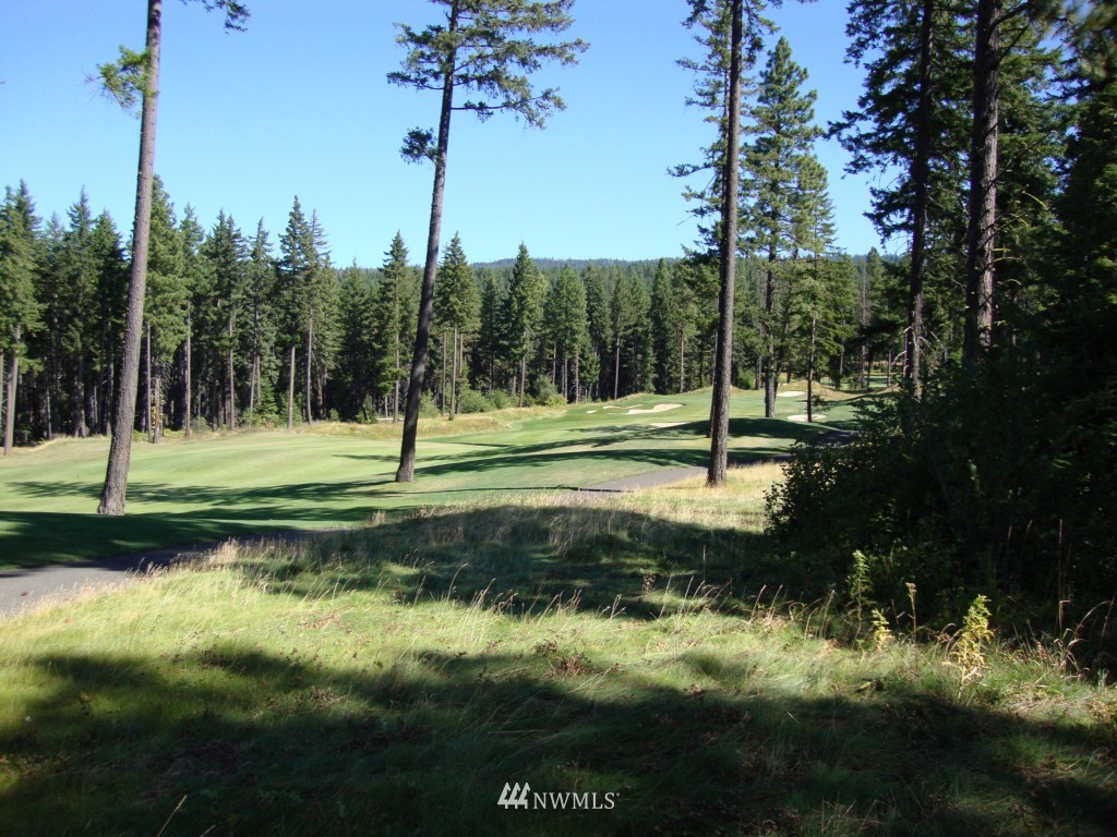 441 Maple Leaf Loop Cle Elum, WA 98922 - Photo 1 of 1 Gallery Image 1