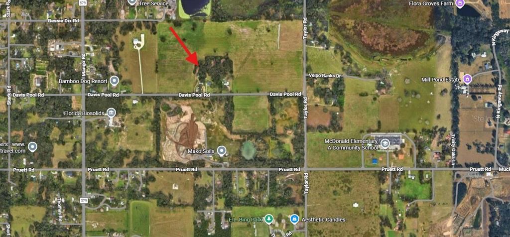 10708 Davis Pool Road Seffner, FL 33584 - Photo 8 of 10