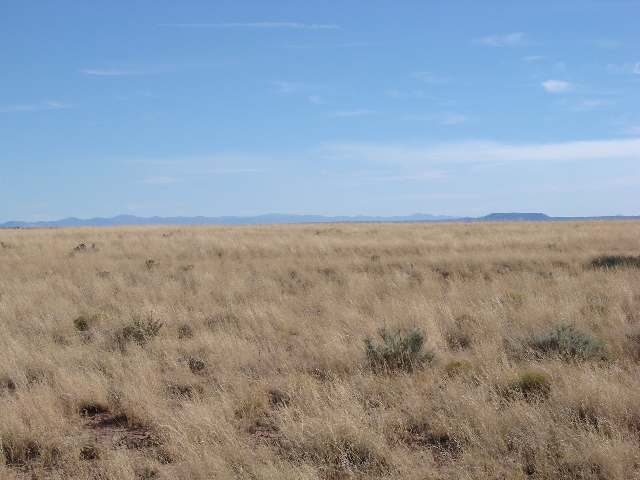 Tbd Tbd River Meadows Ranch Concho, AZ 85924 - Photo 1 of 5