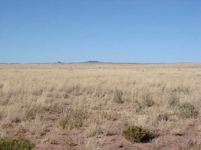 Tbd Tbd River Meadows Ranch Concho, AZ 85924 - Photo 2 of 5