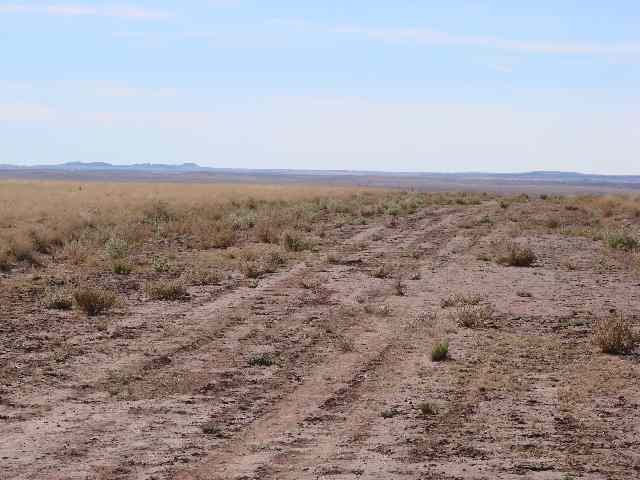 Tbd Tbd River Meadows Ranch Concho, AZ 85924 - Photo 3 of 5