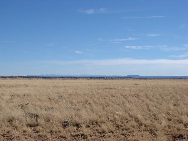 Tbd Tbd River Meadows Ranch Concho, AZ 85924 - Photo 4 of 5