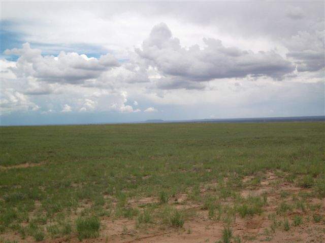 Tbd Tbd River Meadows Ranch Concho, AZ 85924 - Photo 5 of 5