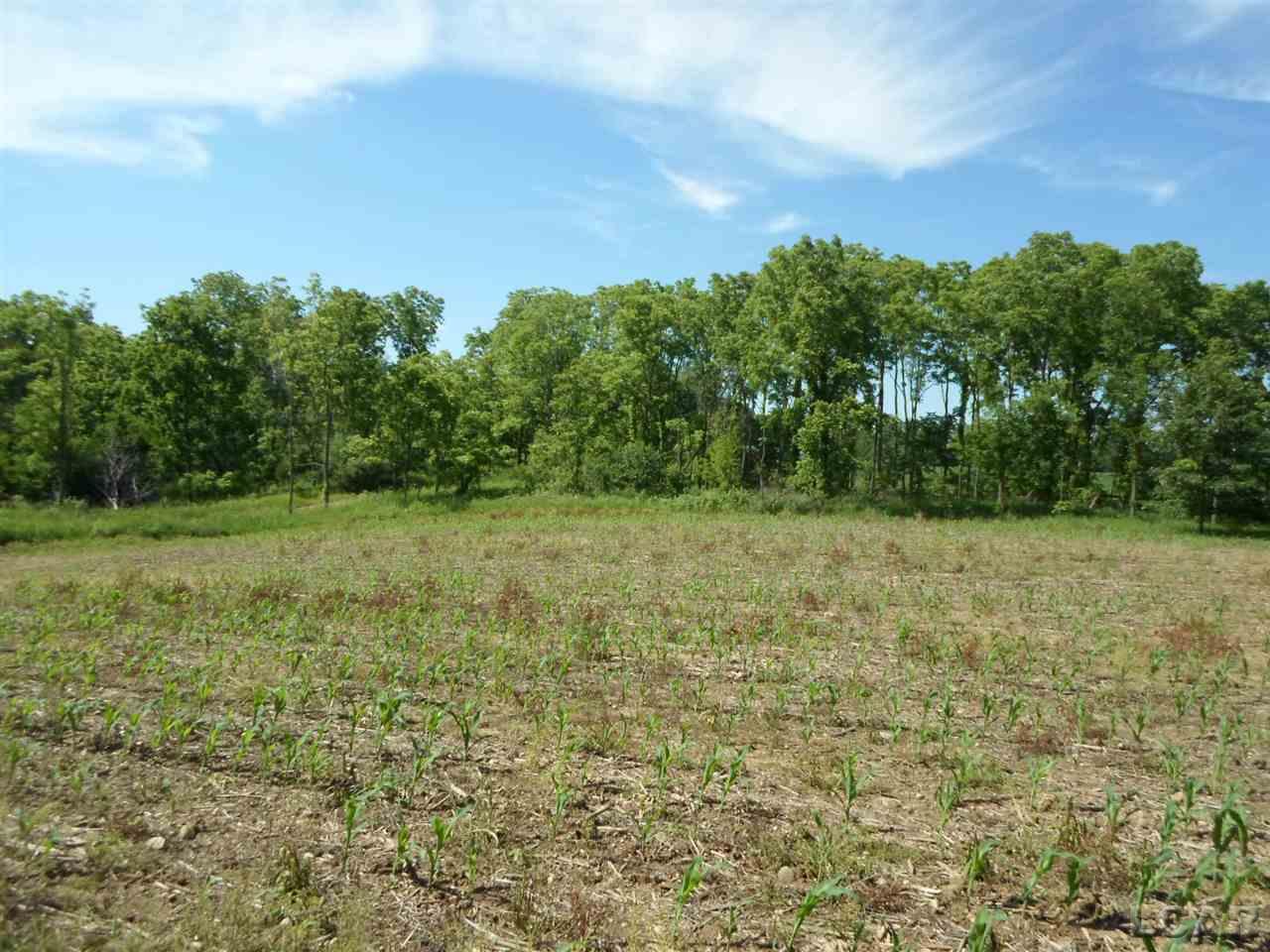 12000 Stephenson Road, Unit PARCEL A Brooklyn, MI 49230 - Photo 25 of 49