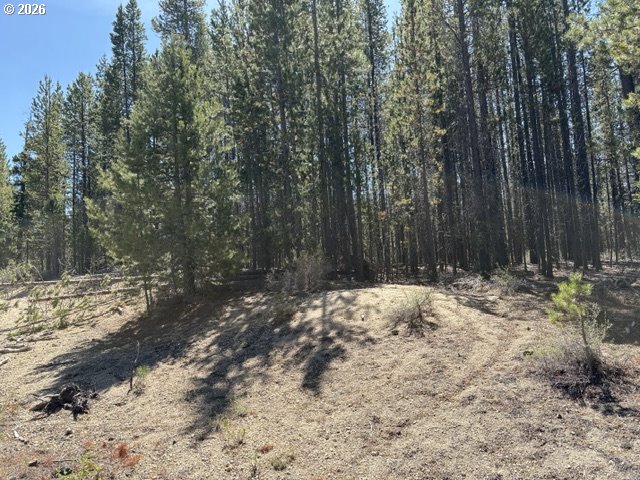 27 Surveyor Road Crescent Lake, OR 97733 - Photo 10 of 10