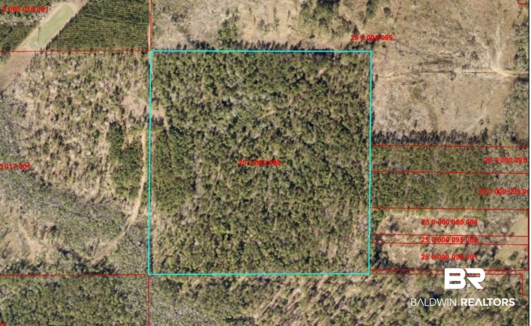 0 North Highway 43 Axis, AL 36505 - Photo 3 of 15