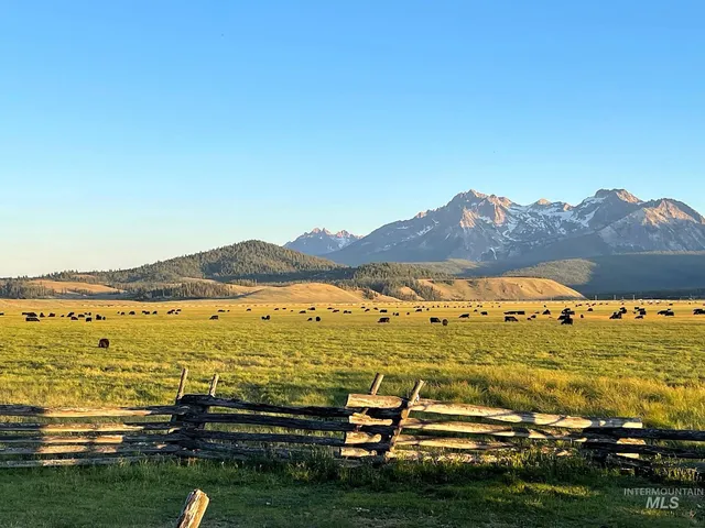 $2,500,000 | 21 Stanley Id 83278, Stanley, ID 83278