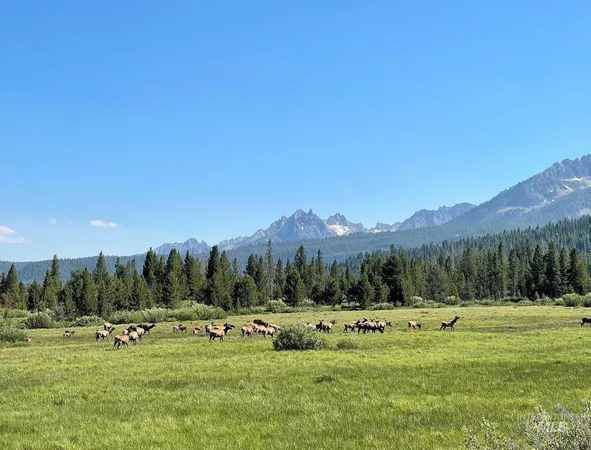 $2,500,000 | 21 Stanley Id 83278, Stanley, ID 83278