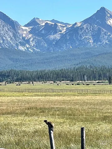 $2,500,000 | 21 Stanley Id 83278, Stanley, ID 83278