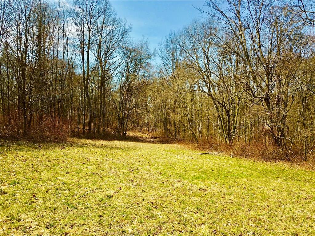 0 Alexander Ridge Road Slippery Rock, PA 16057 - Photo 6 of 19