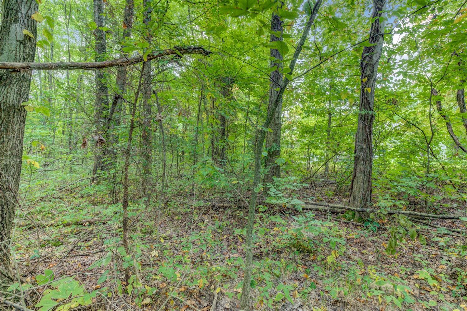 A Locust Lake Road Amelia, OH 45102 - Photo 37 of 45 Gallery Image 37