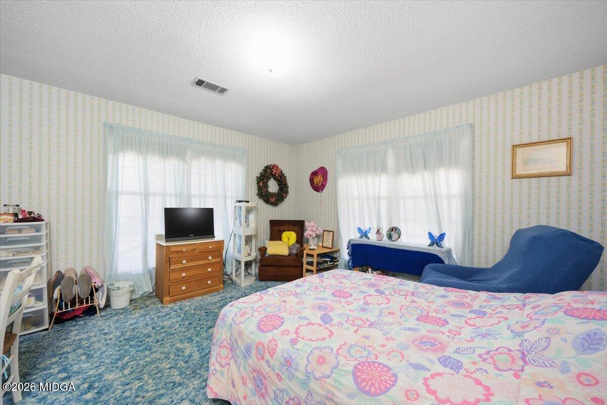 146 Mooring Road Hawkinsville, GA 31036 - Photo 30 of 64 a bedroom with a bed dresser and a flat screen tv