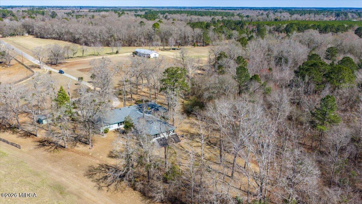 146 Mooring Road Hawkinsville, GA 31036 - Photo 51 of 64 a view of a yard with trees