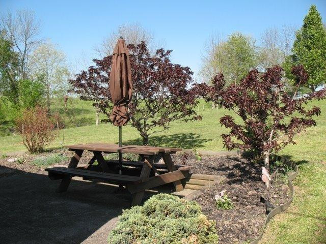 1938 Log Lick Road Winchester, KY 40391 - Photo 19 of 27 Patio out back