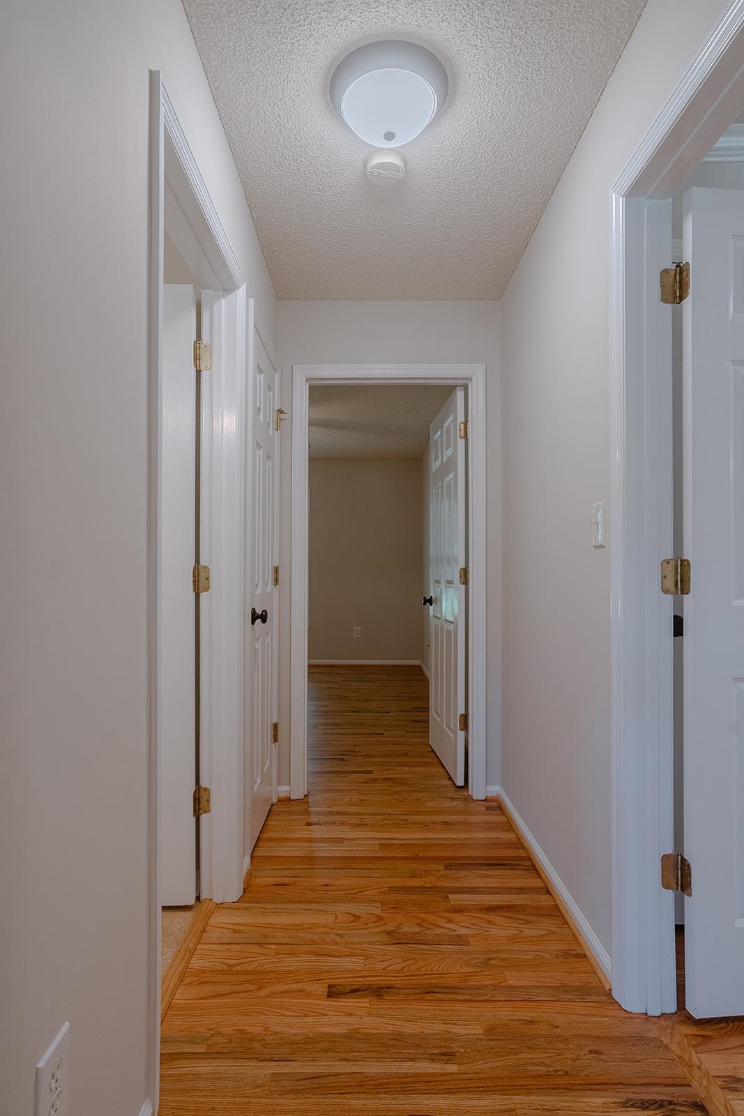109 Cameron Lane Gaffney, SC 29341 - Photo 8 of 50