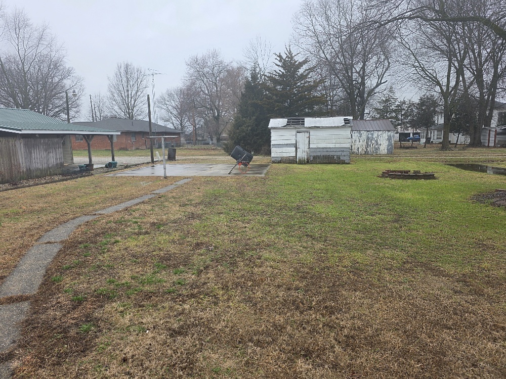 307 South Poplar Street Farina, IL 62838 - Photo 5 of 10