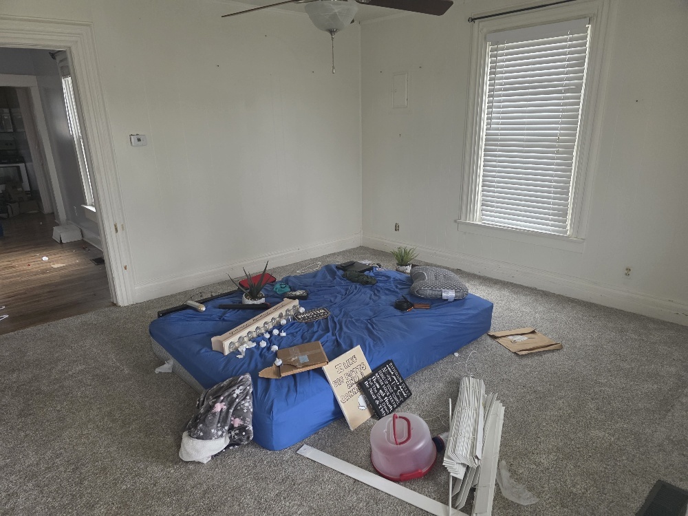 307 South Poplar Street Farina, IL 62838 - Photo 8 of 10