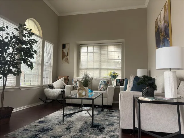 a living room with furniture and a potted plant