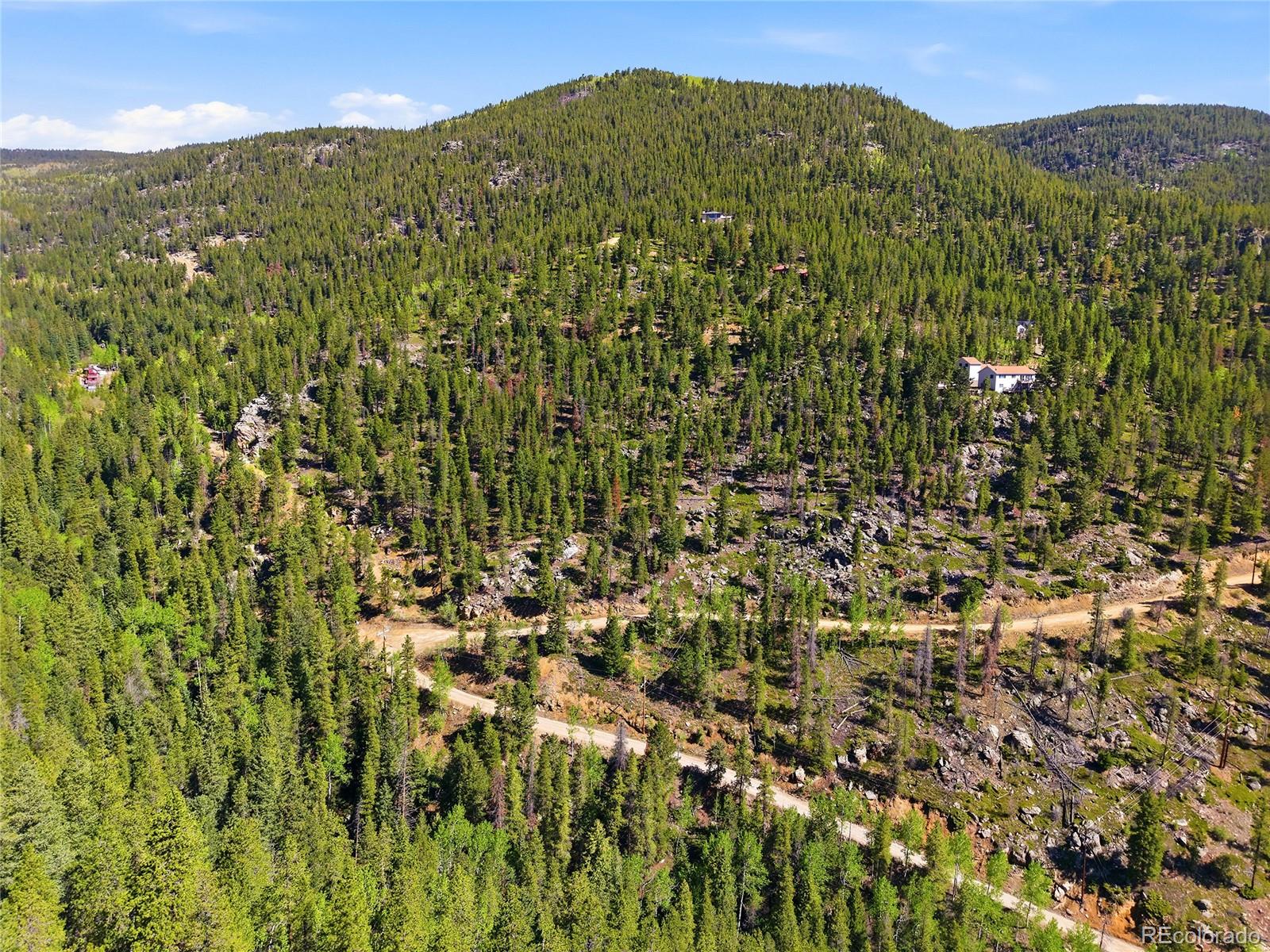 600 Ute Creek Road Idaho Springs, CO 80452 - Photo 10 of 24 a view of a lush green field with a mountain in the background