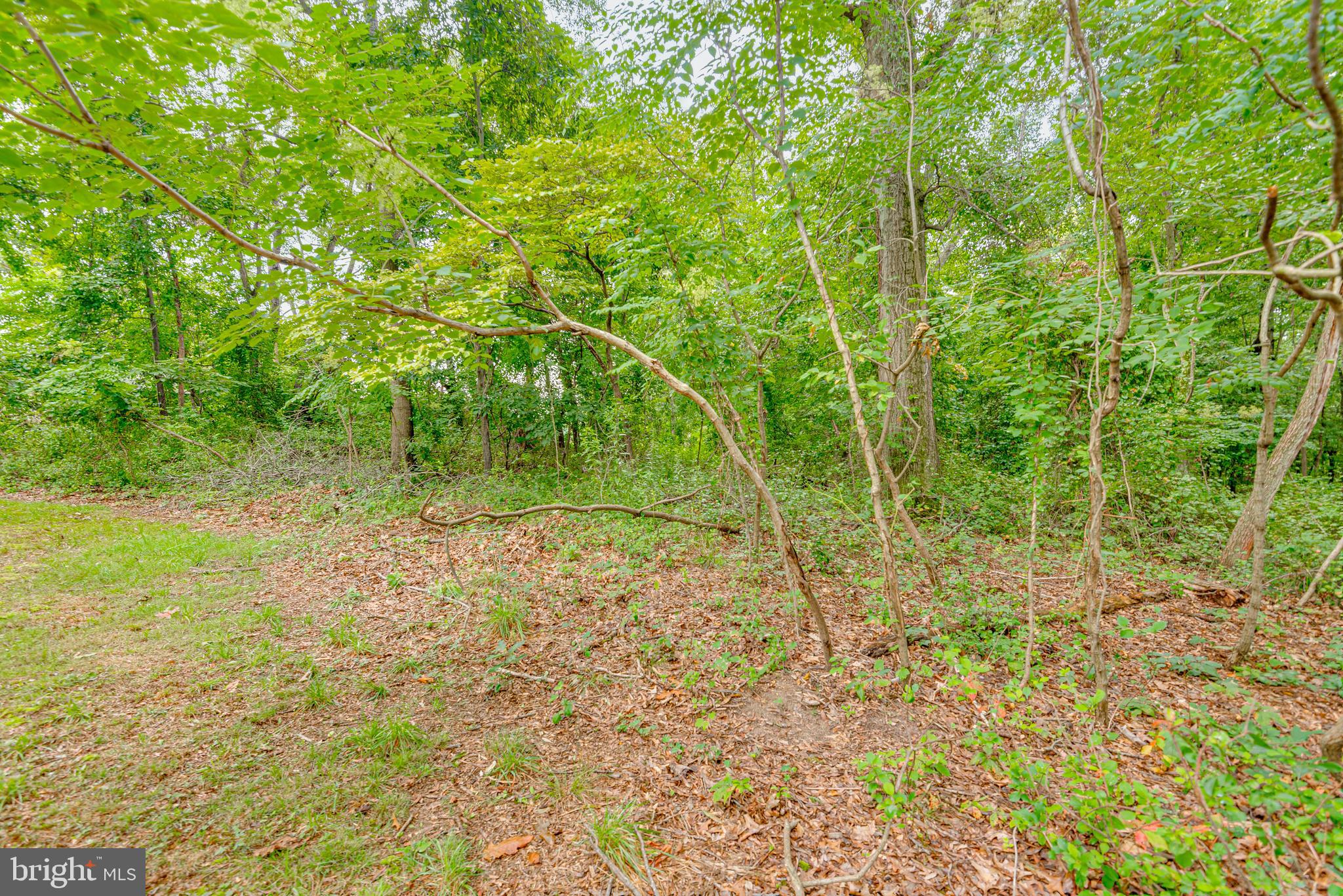 Luke Pasadena, MD 21122 - Photo 2 of 11