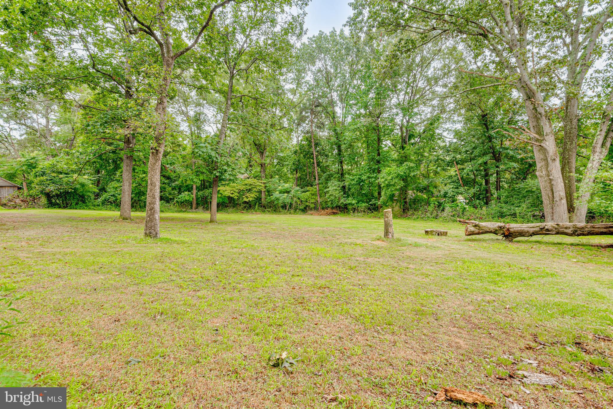 Luke Pasadena, MD 21122 - Photo 5 of 11