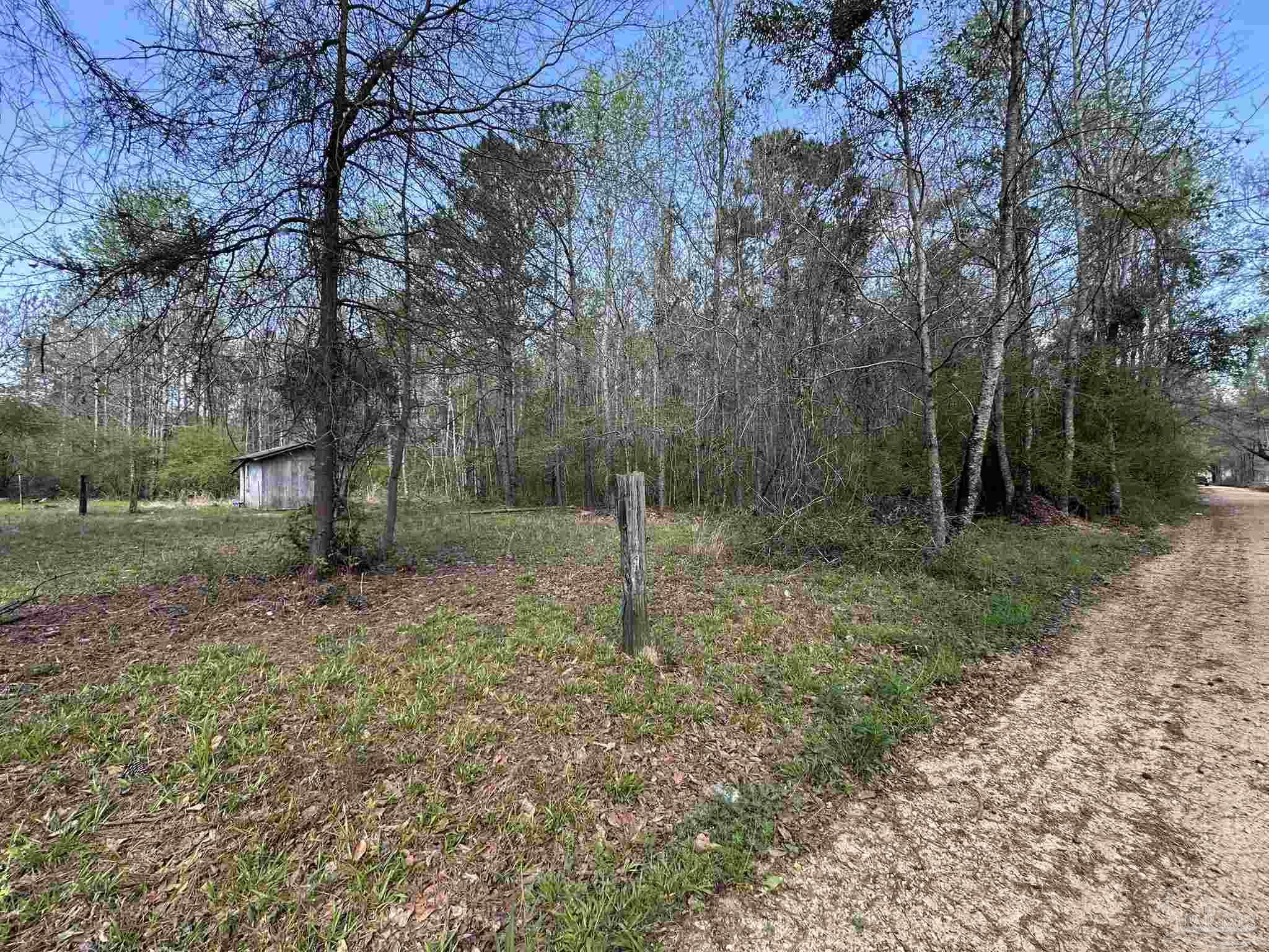 83-ac Lett Road Frisco City, AL 36445 - Photo 1 of 10