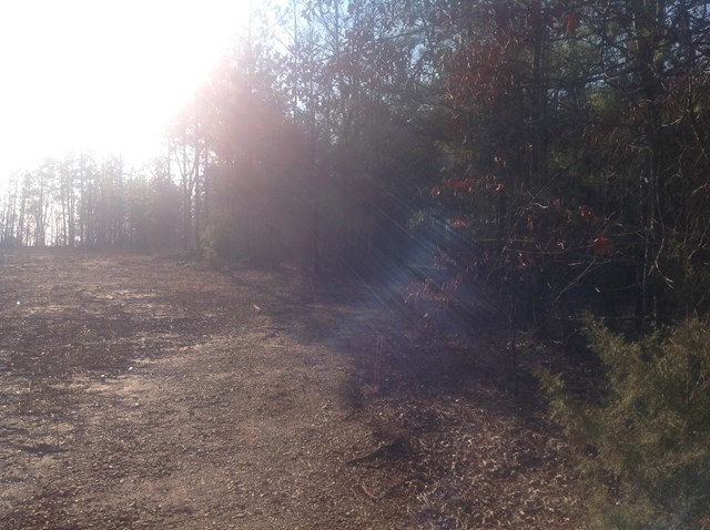 1257 Jarrell Plantation Road Juliette, GA 31046 - Photo 2 of 3 Additional Photo