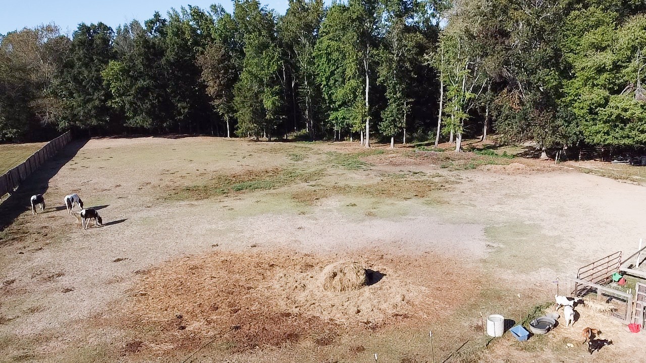1260 Toy Denny Road Bradyville, TN 37026 - Photo 25 of 30 a view of wooden fence under a large tree