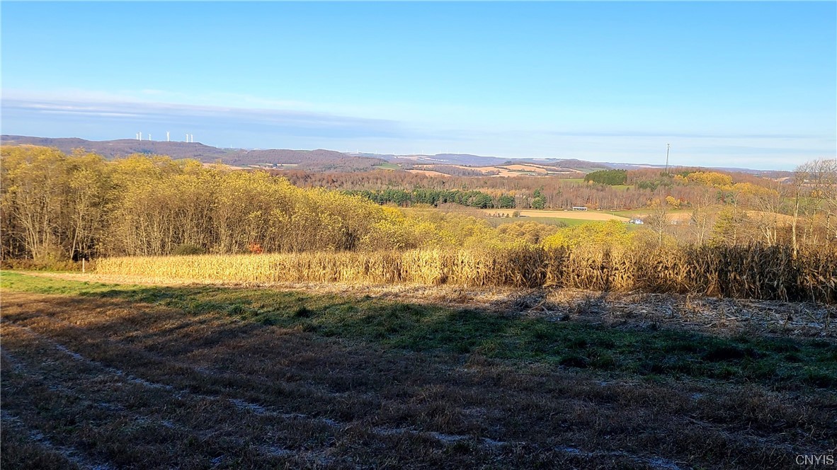 0 Tubbs Road Waterville, NY 13480 - Photo 1 of 1 Gallery Image 1