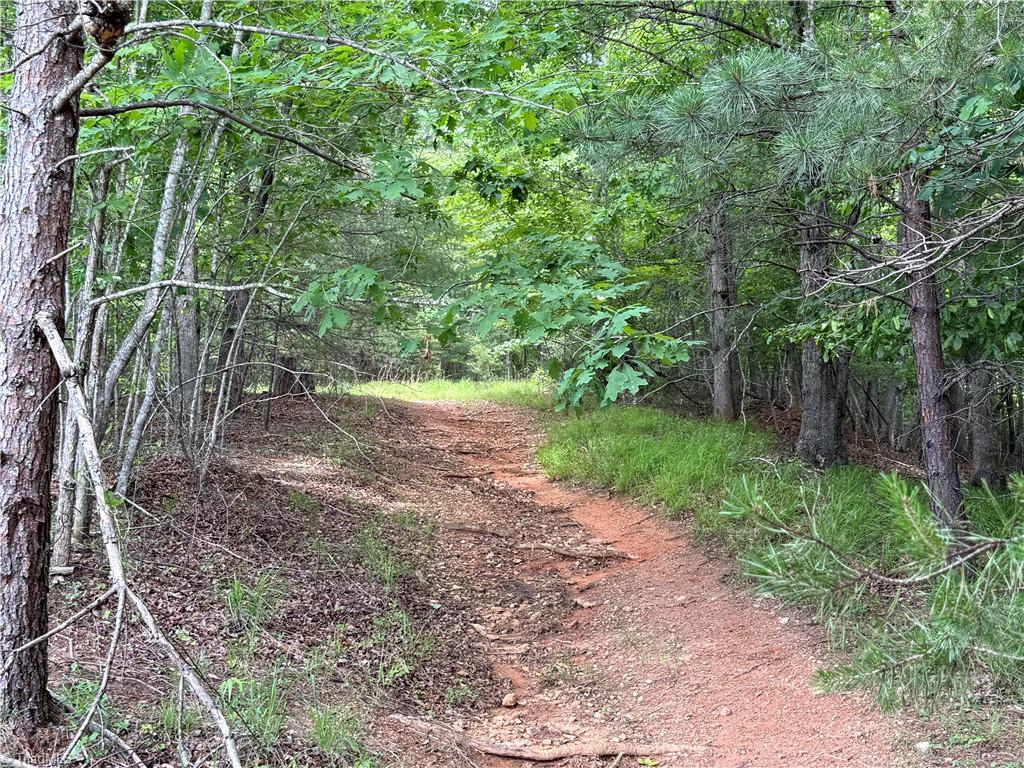 0 Old Lowgap Road Lowgap, NC 27024 - Photo 2 of 13