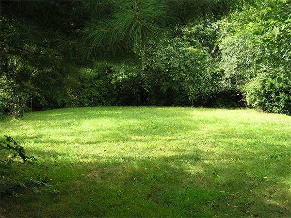 10 Brace Cove Gloucester, MA 01930 - Photo 10 of 13 a view of a green yard