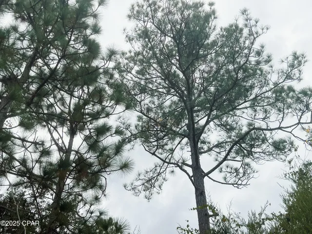 $134,900 | 0 Highview Circle, Chipley, FL 32428