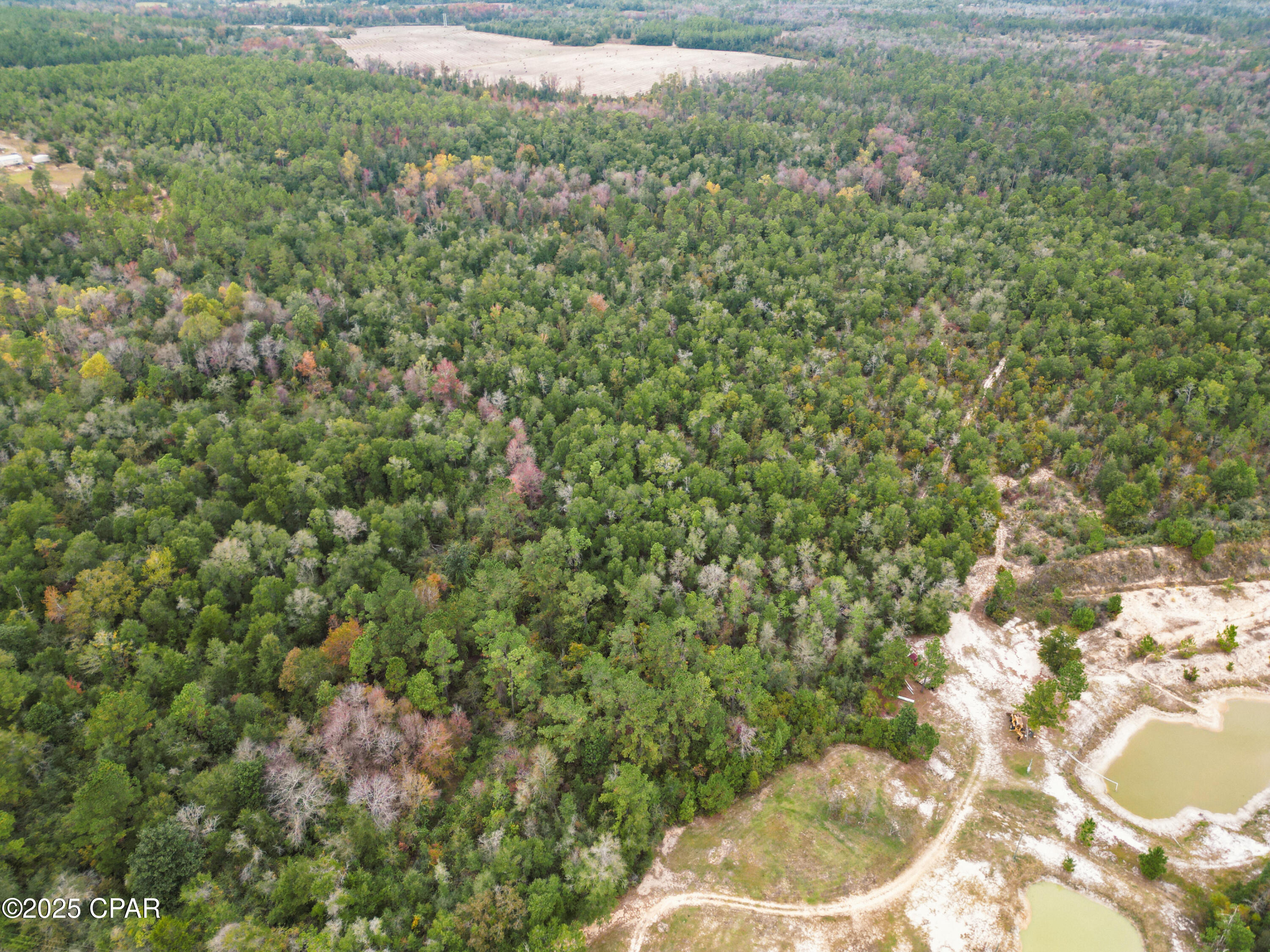 0 Highview Circle Chipley, FL 32428 - Photo 6 of 19