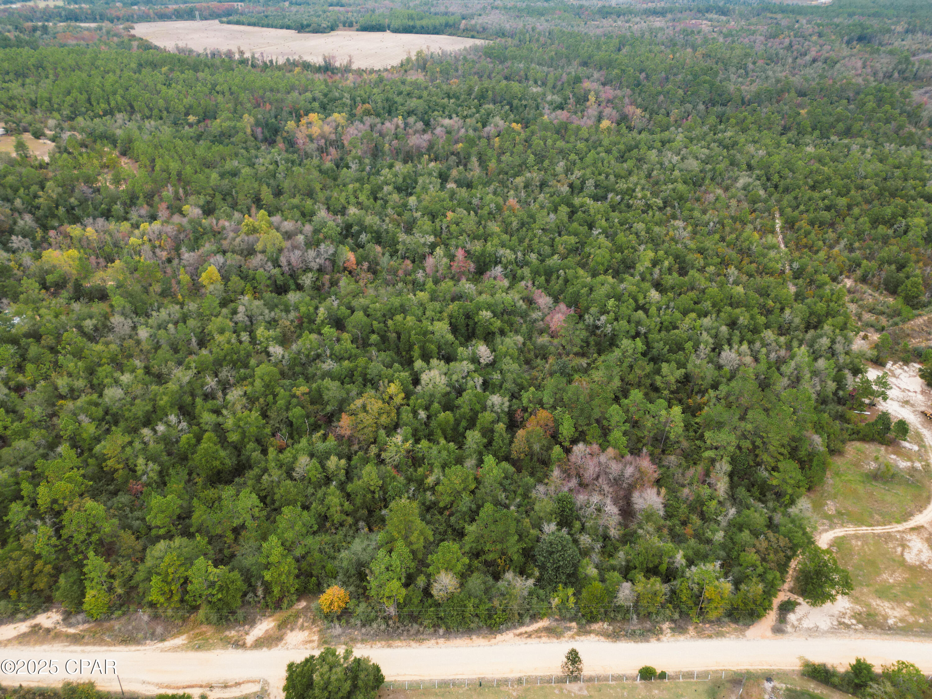 0 Highview Circle Chipley, FL 32428 - Photo 7 of 19