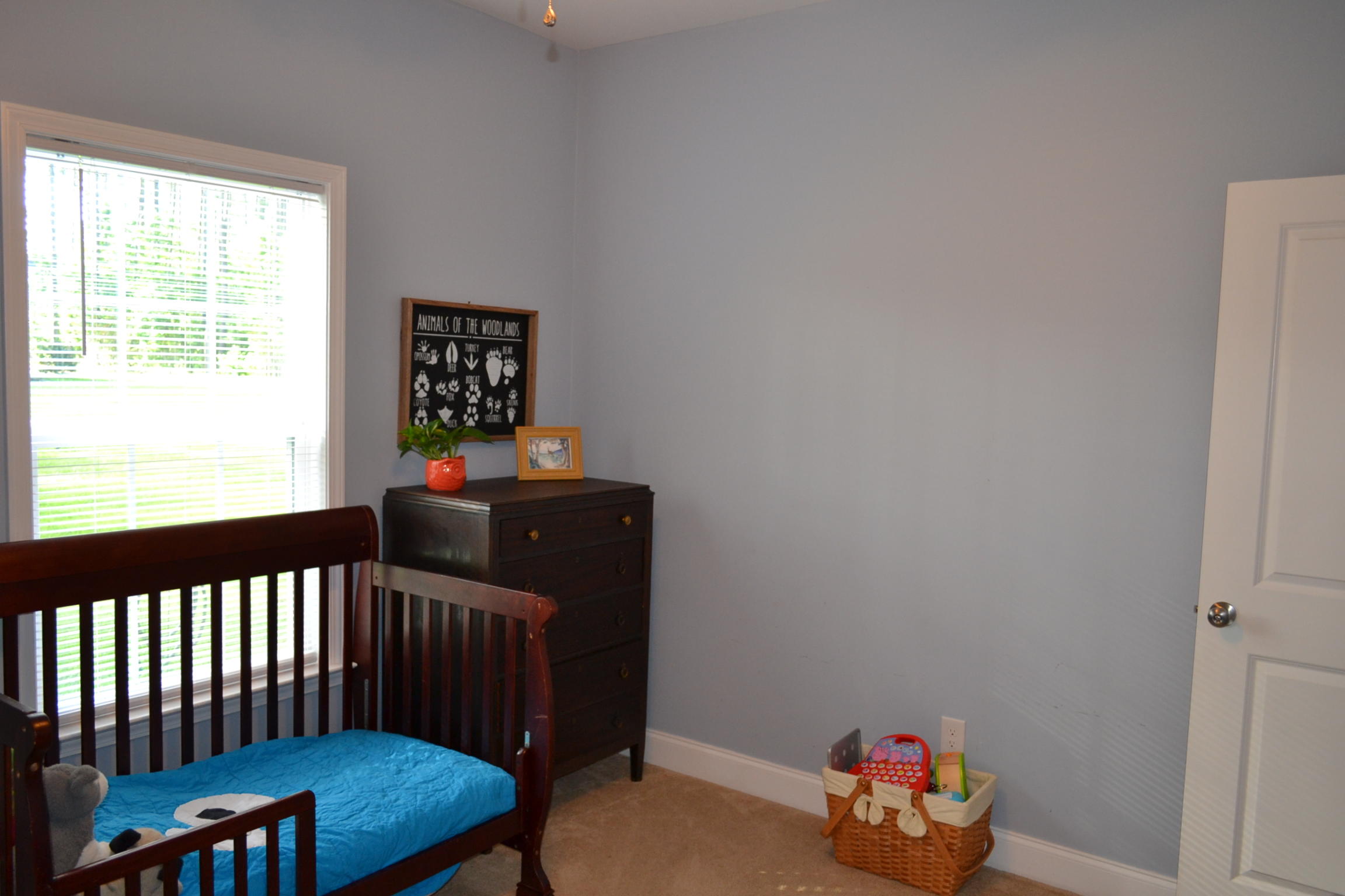 472 Cummings Chapel Road Ridgeville, SC 29472 - Photo 20 of 29 DSC_0007